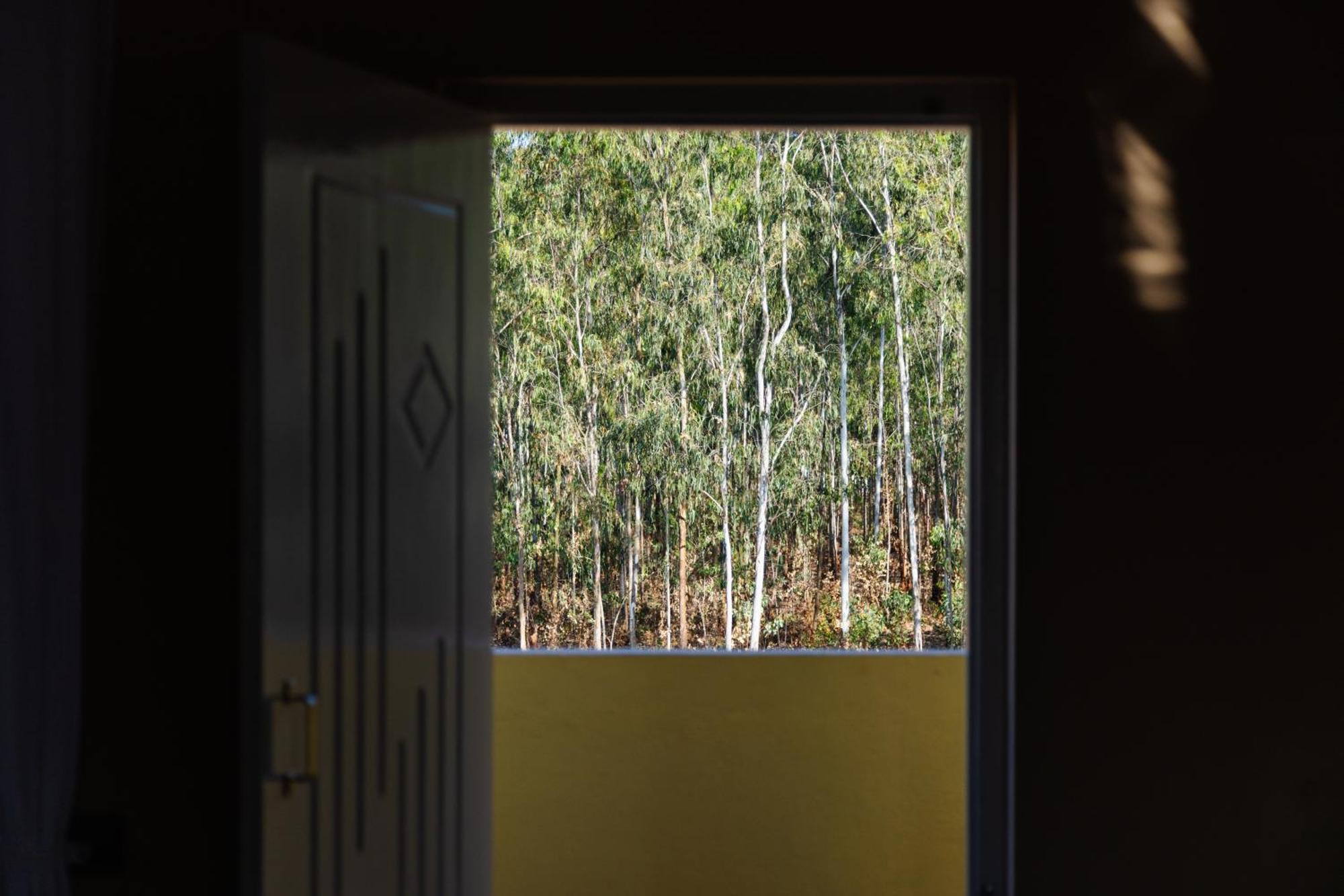 Moonlight Manor- Luxury Escape Villa Bangalore Luaran gambar